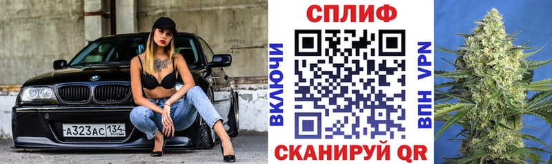 мориарти формула  Бокситогорск  Бошки марихуана сатива 